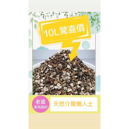 老莫資材商城  驚喜包1單限量+1  宅配可+5㊣特調豪華土耳其白火懶人版㊣ 驚喜價～！