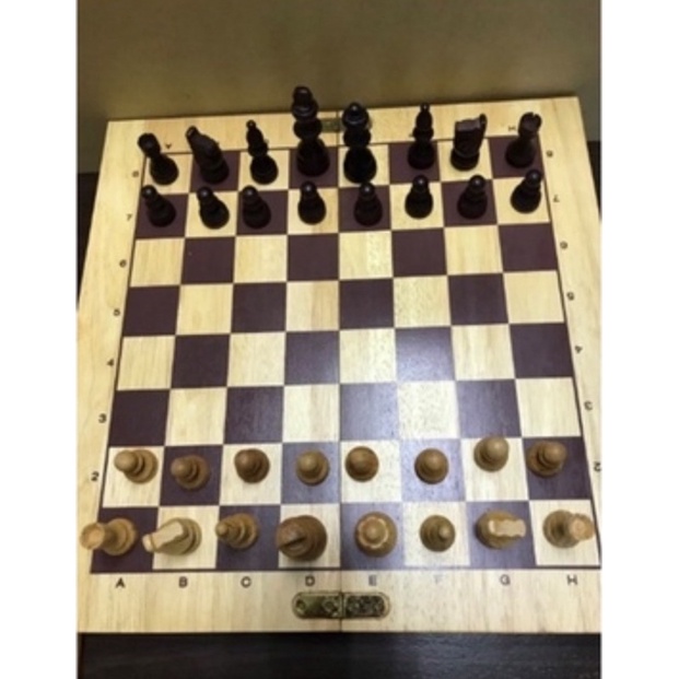 （二手）班恩傑尼✨ PINTOY木製益智棋（Chess西洋棋）