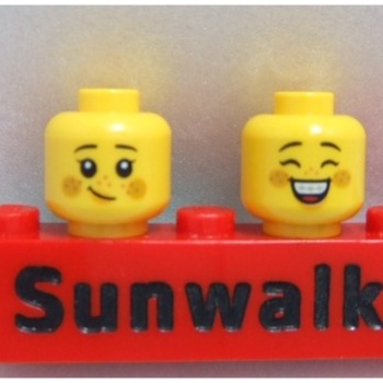 【積木2010】#555 樂高 LEGO 雀斑 牙套 大笑 微笑 雙面 人頭 / 小孩 人頭 人偶頭