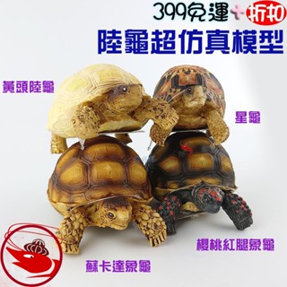 🎀蝦大媽🎀陸龜超模擬模型(櫻桃紅腿象龜/蘇卡達象龜/黃頭陸龜/星龜)【U-LE-SS-046】-烏龜-樹脂模型