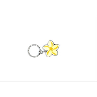 海島熱帶系列鑰匙圈 夏威夷多樣主題 Hawaii Assorted Theme Keychain 夏威夷進口 全新