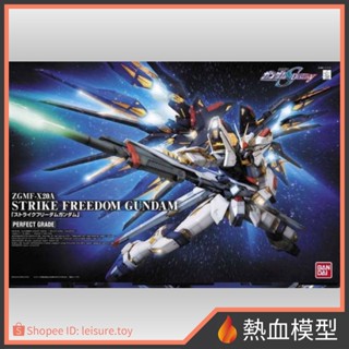 [熱血模型] BANDAI 萬代 鋼彈模型 1/60 PG 鋼彈SEED ZGMF-X20A 攻擊自由鋼彈