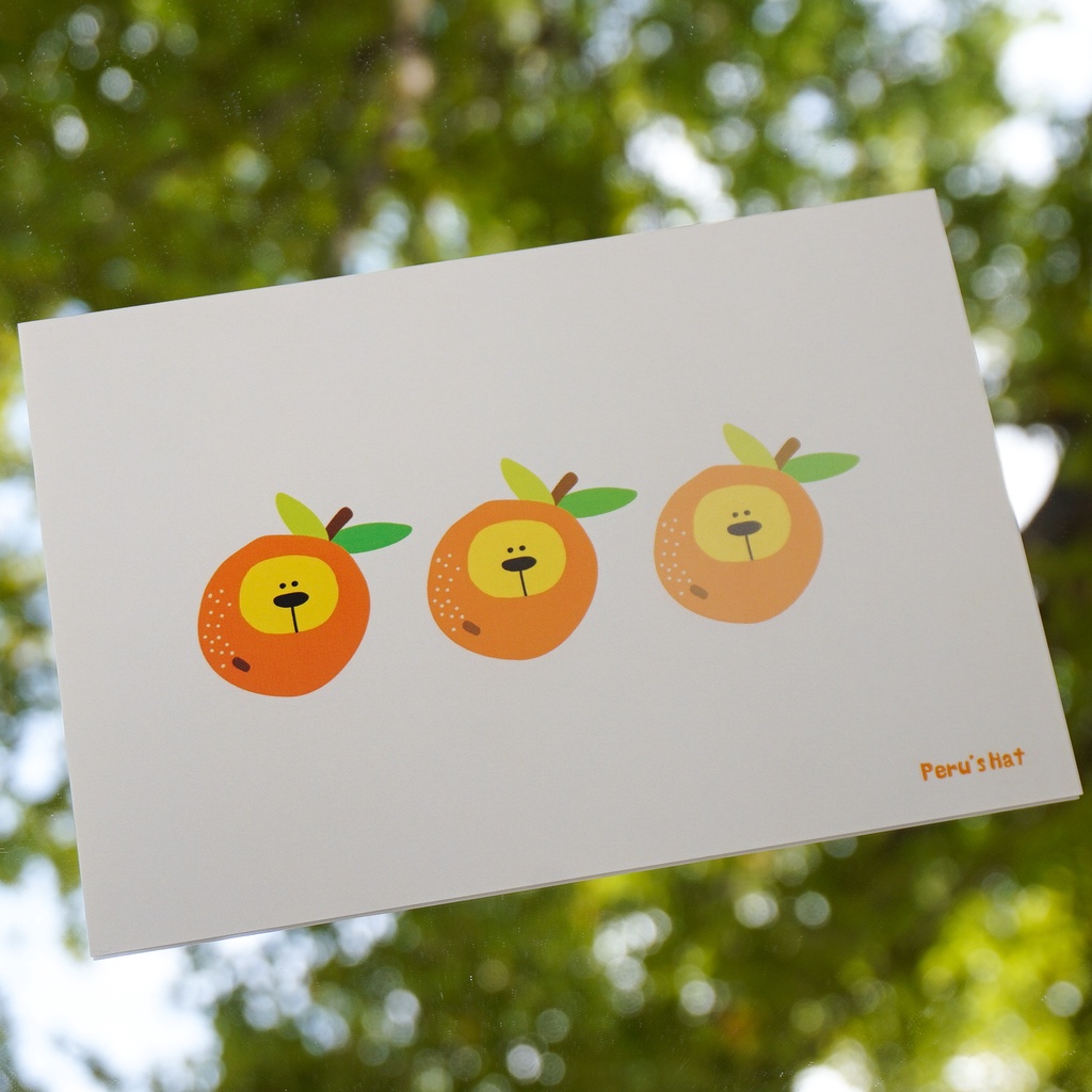 帕魯的帽子 水果 橘子 明信片