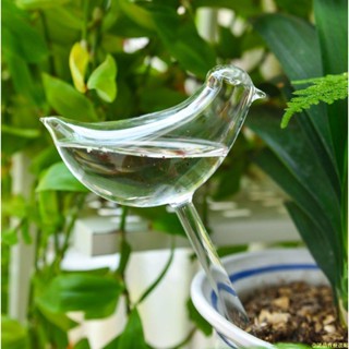 壹諾甄選！！多肉植物花盆自動澆水器出差澆花神器懶人家用滲水器滴水玻璃花器