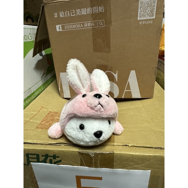 [Q-1]朝陽義賣-兔子娃娃