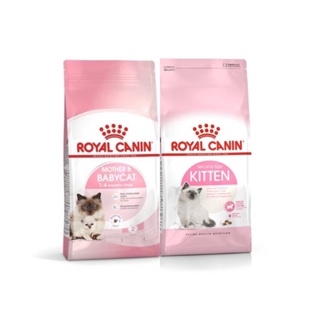 ROYAL CANIN 法國皇家 K36/BC34 幼貓/母貓/離乳貓 貓飼料/貓糧