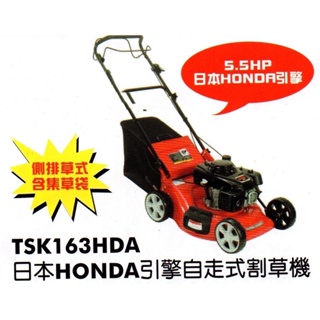 全新TSK163HDA HONDA 本田 5.5HP 自走式割草機 手推式割草機 推式割草機 割草機