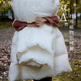日本全棉床上用品♨✱❡60支A類全棉杜邦類仿羽絨纖維秋冬被子四季通用加厚保暖被芯