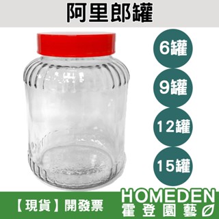 【臺灣現貨】阿里郎罐 釀酒瓶 泡酒瓶 酒果瓶 密封罐 菜瓶 釀酒玻璃瓶 釀酒罐 泡酒罐 果醋罐【HOMEDEN霍登園藝】