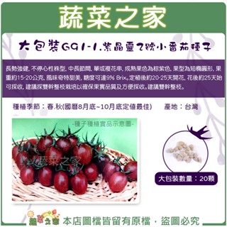 【蔬菜之家滿額免運】大包裝.紫晶靈2號小番茄種子 20顆 // 紫色番茄，果型為短橢圓形，果重約15-20