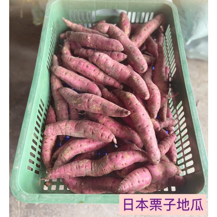 日本栗子地瓜💛產地雲林水林🌸新鮮現採🌺超取最多7斤