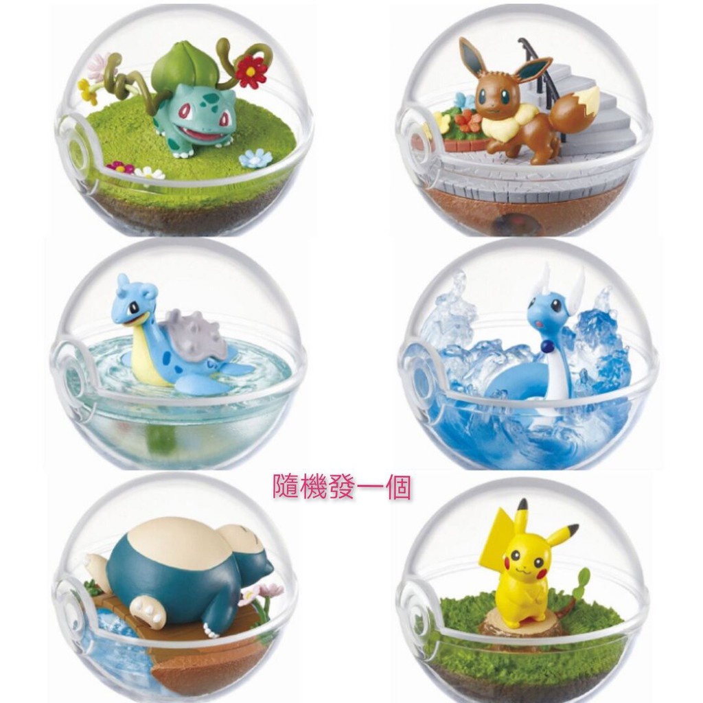 可選款 寶可夢 pokemon 盒玩 水晶球 飼育球 壓克力球 生態球 第1彈 盲盒 皮卡丘 卡比獸（實拍圖）