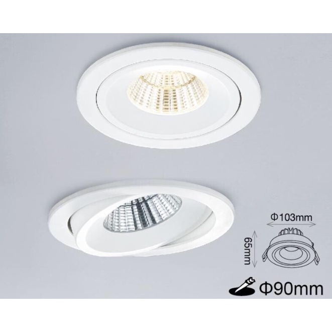 小鵬~舞光 LED 12W 9cm 可轉角 崁燈 高演色 可調角度 LED-25132