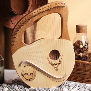 小豎琴 24弦萊雅琴 箱式箜篌小眾樂器 初學者易學lyre裏拉琴 小型便攜式樂器 莱雅琴