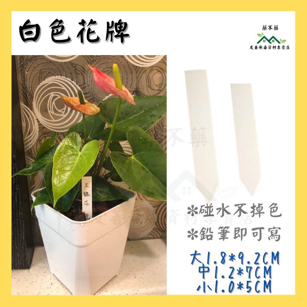 【無毒專家】日本花牌 白色花牌 花牌 一字標籤 植物名牌 多肉植物 防水標籤 插牌 品名牌 塑膠名牌 塑膠花牌