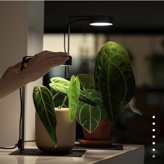 《現貨附發票》ONF MIST O 專用支架 組合優惠 植物光 植物燈具 觀葉植物 苔蘚 水草 塊根 多肉 室內照明