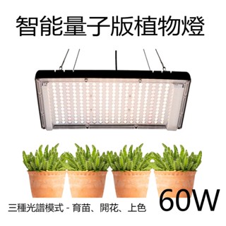 【君沛植物燈】LED植物燈 60W吊掛式 吊線款 智慧植物燈板 量子板植物燈 可調光/可定時/可切換光譜