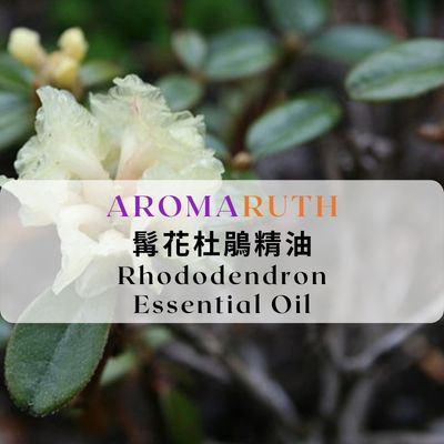 AROMARUTH髯花杜鵑精油Rhododendron Essential Oil