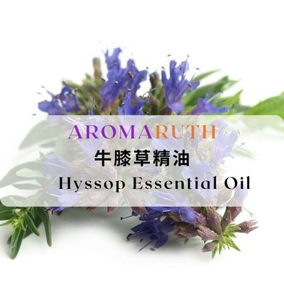 AROMARUTH牛膝草精油Hyssop Essential Oil