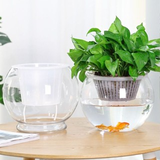 🌸限時折扣🔥【新款上市】透明花瓶 花器 特大號水培植物玻璃瓶透明水養綠蘿花瓶花盆圓形容器魚缸器皿擺件