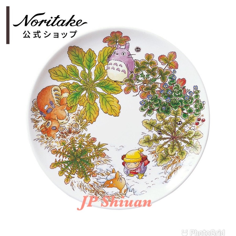 🌟現貨🌟日本TOTORO 宮崎駿 龍貓 日本製 骨瓷 紀念 餐盤 盤子 水果盤
