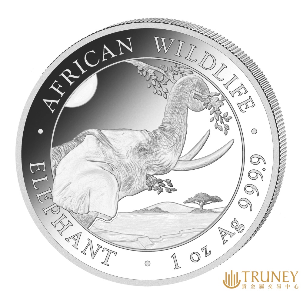 【TRUNEY貴金屬】2023索馬利亞非洲象銀幣1盎司 / 約 8.294台錢