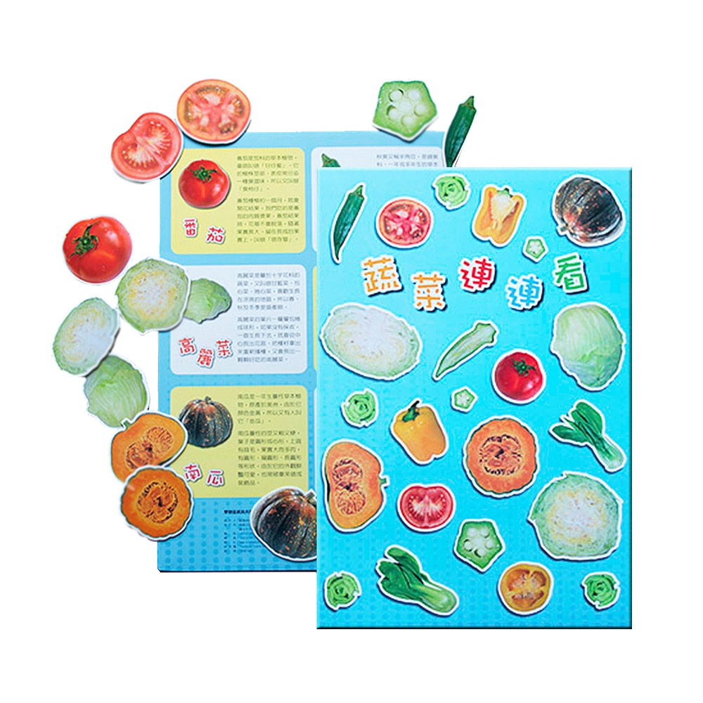 【Hi-toys】大本磁貼書-蔬菜連連看 /學習教具/啟蒙教具