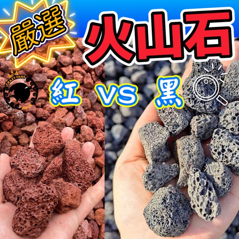 【水族狂粉】水族最便宜🔥火山岩10g/$3 火山石 紅火山石 黑火山石 底砂 紅火山岩 硝化培菌石 底砂 濾材 過濾淨水