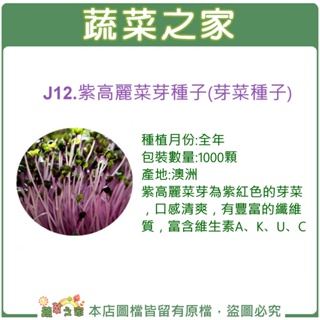 【蔬菜之家滿額免運】J12.紫高麗菜芽種子1000顆(約5公克)芽菜種子芽菜類種子
