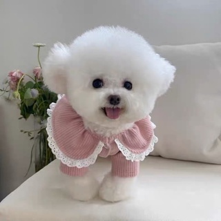Q Mao (現貨款24H出貨/預購款7-21天）2023新品🆕小姊姊氣質款寵物服飾衣服配件小型犬中型犬
