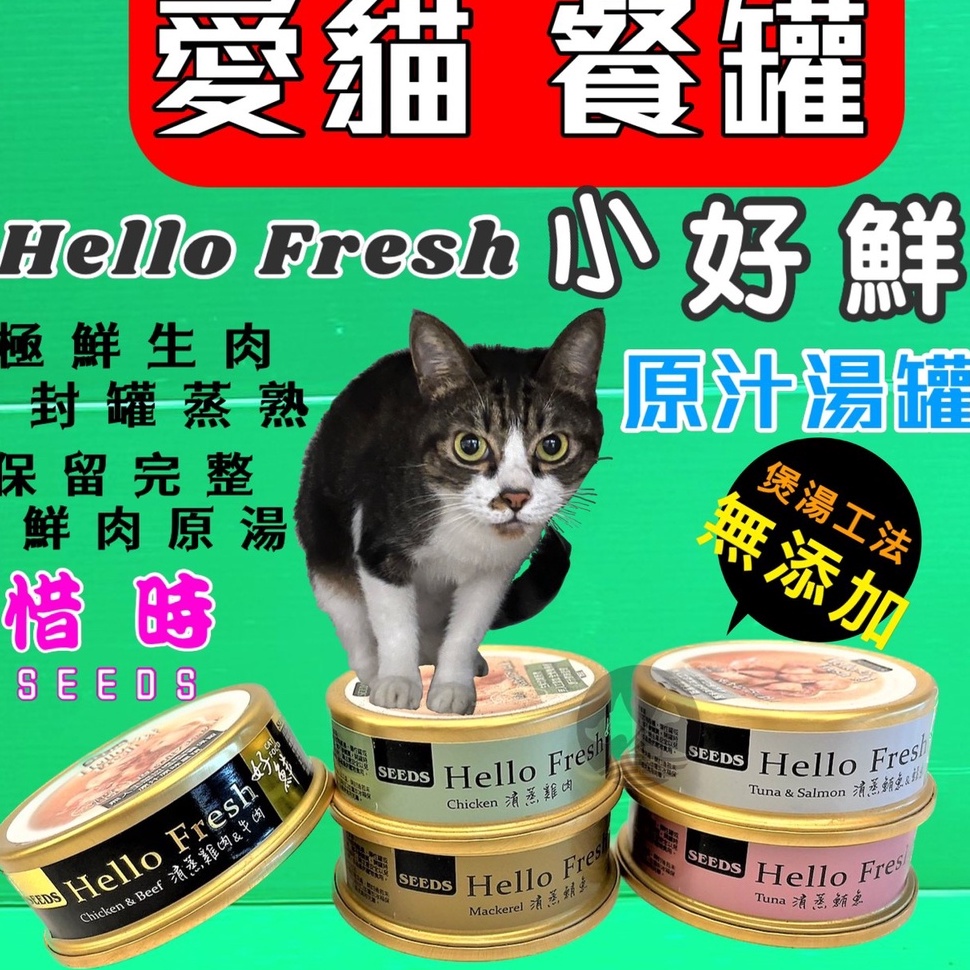 ☀️貓國王波力☀️惜時(清蒸雞肉 50g/罐)  SEEDS Hello Fresh 好鮮原汁湯罐 貓罐/貓湯罐