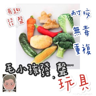 ⚡現貨24小時出貨⚡寵物玩具 模擬 發聲玩具 狗狗玩具 狗玩具 狗玩具耐咬 耐咬玩具 狗狗耐咬玩具
