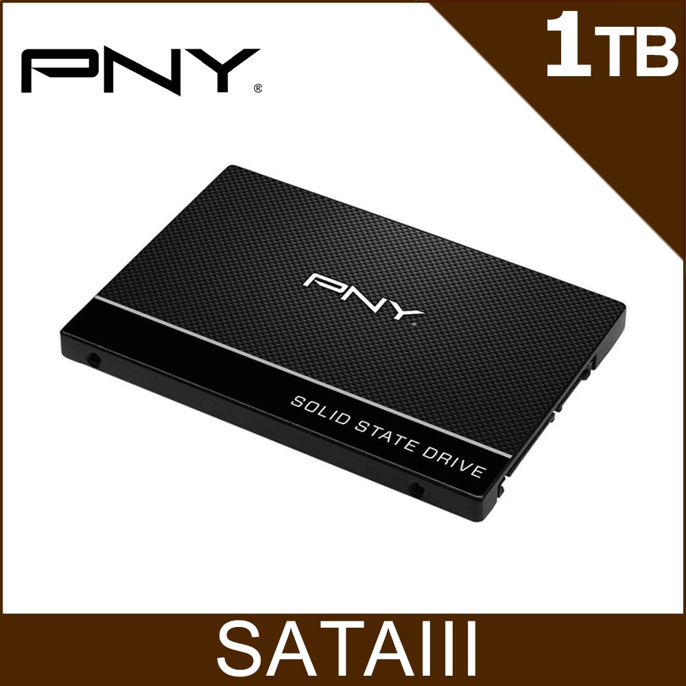 現貨【快速出貨】全新公司貨 PNY CS900 1TB 2.5吋 SATA III SSD固態硬碟