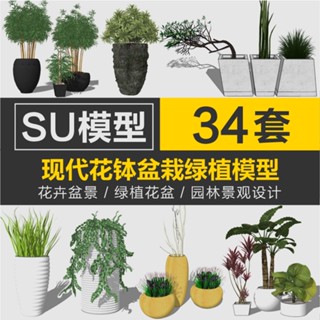 Sketchup模型 | 草圖大師現代花缽庭院室內花卉盆栽盆景觀植物裝飾擺件園林SU模型