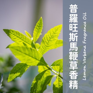 【馥靖精油】普羅旺斯馬鞭草香精 Lemon Verbena Fragrance Oil