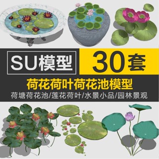 Sketchup模型 | su荷塘荷花池蓮花荷葉植物園林水景小品 SU模型草圖大師景觀模型