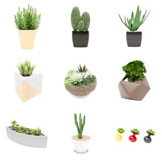 Enscape For Sketchup 專業模型 100個 多肉植物模型