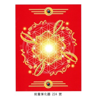 正版Bryan De Flores能量催化圖A224號- 生命之花~過去現在未來的資料庫(生命之花/阿凱西記錄)