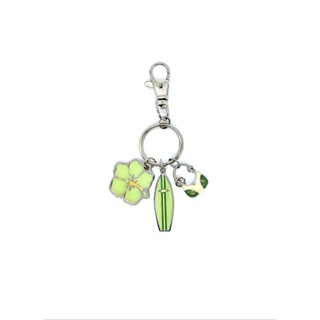 海島熱帶系列鑰匙圈 夏威夷多樣主題 Hawaii Assorted Theme Keychain 夏威夷進口 全新