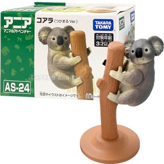 【免運 3C小苑】AN22548 正版 日本 ANIA AS-24 無尾熊 探索動物 多美動物 動物模型 可動 模型