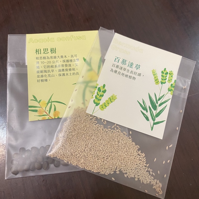 アカシア種子 500粒+ ac500 0722165038_669e0f4eb4934.jpg