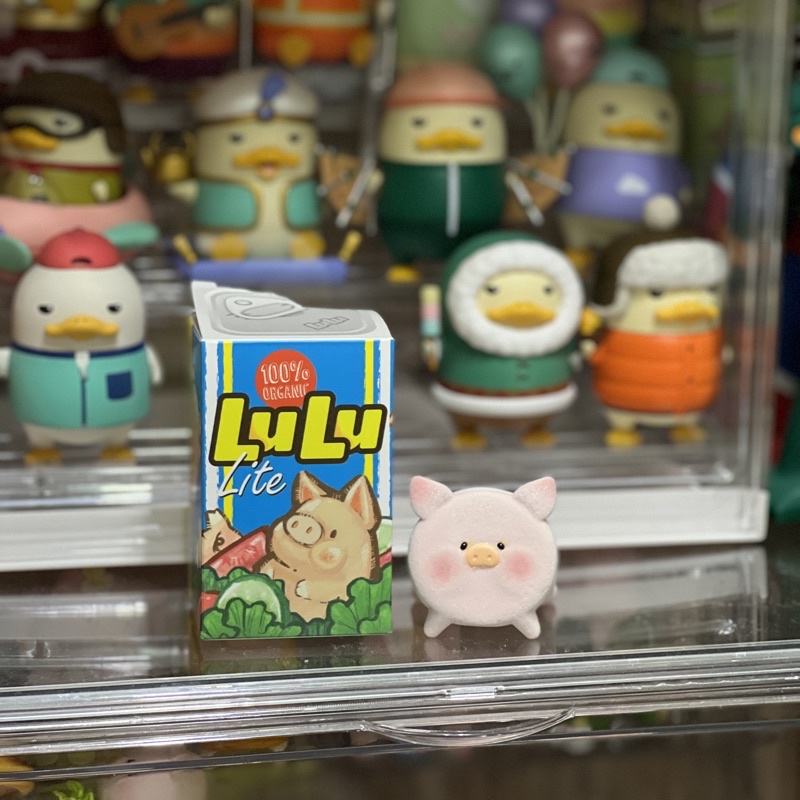 lulu豬一代扁頭豬