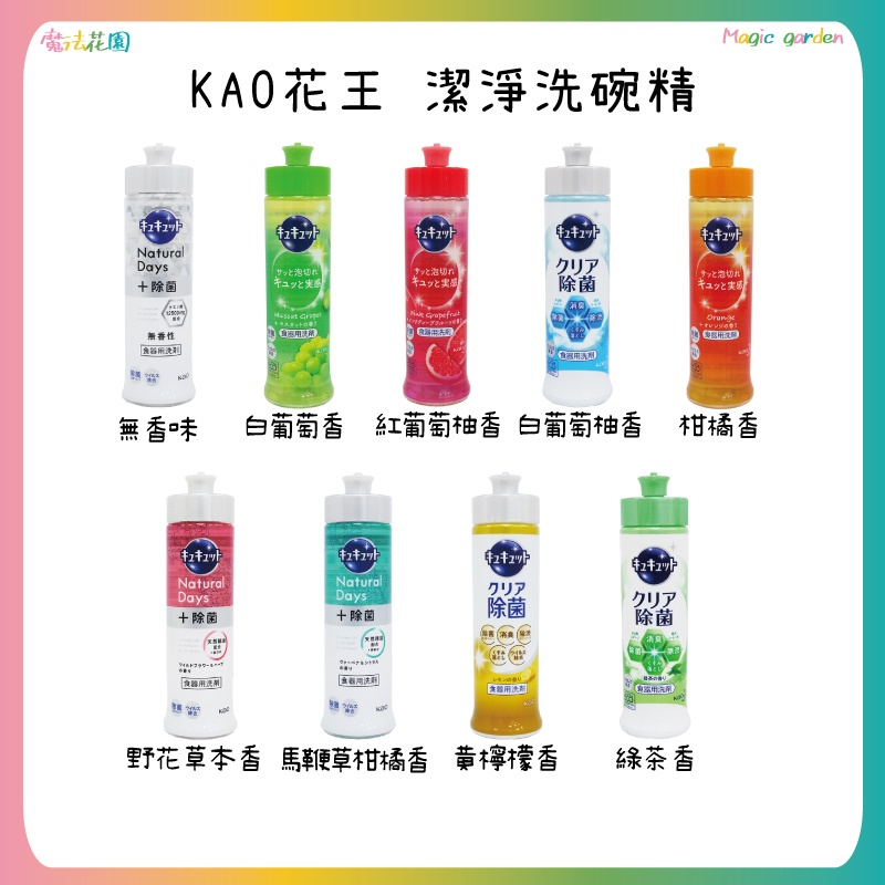 日本花王Kao 潔淨洗碗精  240ml 珂珂透 抗菌去油漬  超濃縮高效洗碗精 食器用洗劑 水果香洗碗精 洗碗清潔劑