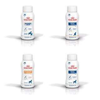 ［小扁臉］皇家 醫院直營 ICU 犬用營養系列 貓用營養系列 237ml 4罐1組 營養補給