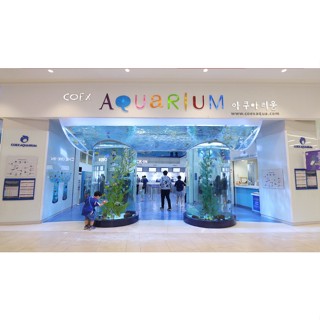 【去哪裡-韓國】【首爾COEX水族館】電子票~韓劇拍攝地 ~~另有樂天世界 愛寶樂園