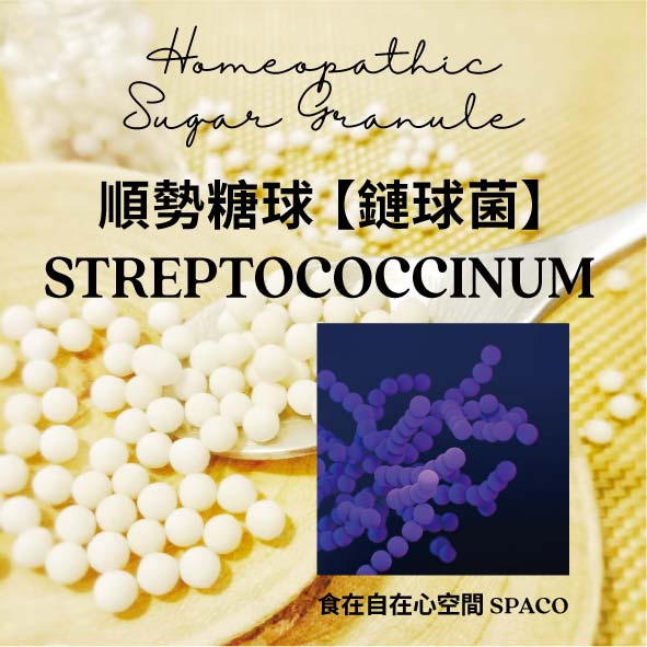 順勢糖球【Streptococcinum】Homeopathic Granule／9克／食在自在心空間
