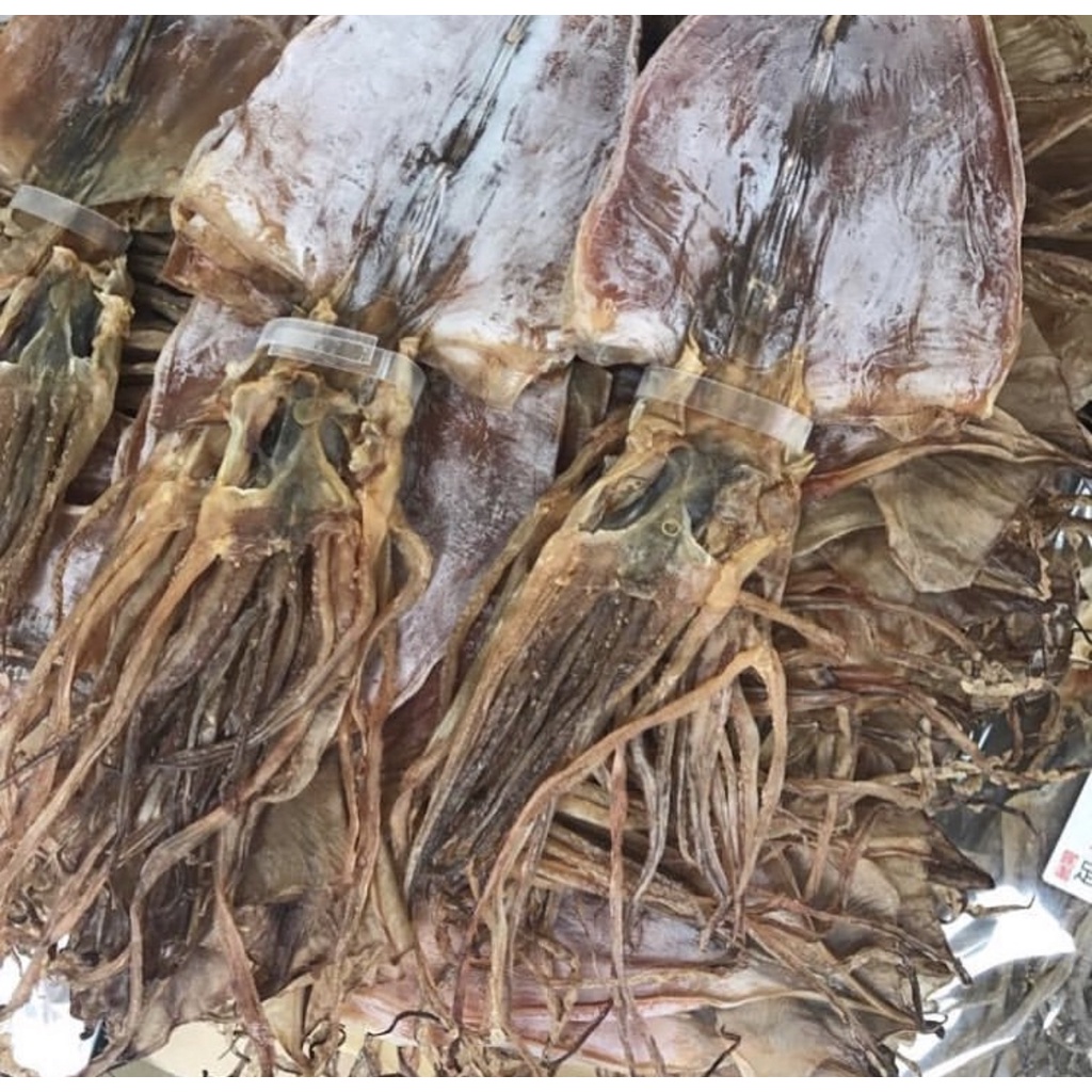 遠洋阿根廷乾魷魚 每隻約70~80克 端午 年貨必備7-9支一斤的大小(中) 魷魚乾貨