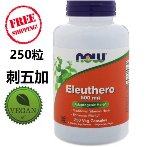 🌿免運🌿大罐 Now Foods 刺五加膠囊 Eleuthero 500mg 250粒 素食 西伯利亞人蔘 有氧老虎牙子