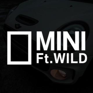 野生MINI貼紙 車身貼紙 玻璃貼紙 車窗貼紙 迷你 Cooper Countryman Clubman Cabrio