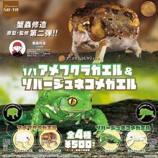 ❖貓大爺玩具❖現貨 SO-TA 1比1短頭蛙&猴樹蛙 扭蛋 轉蛋 全4款 青蛙 模型